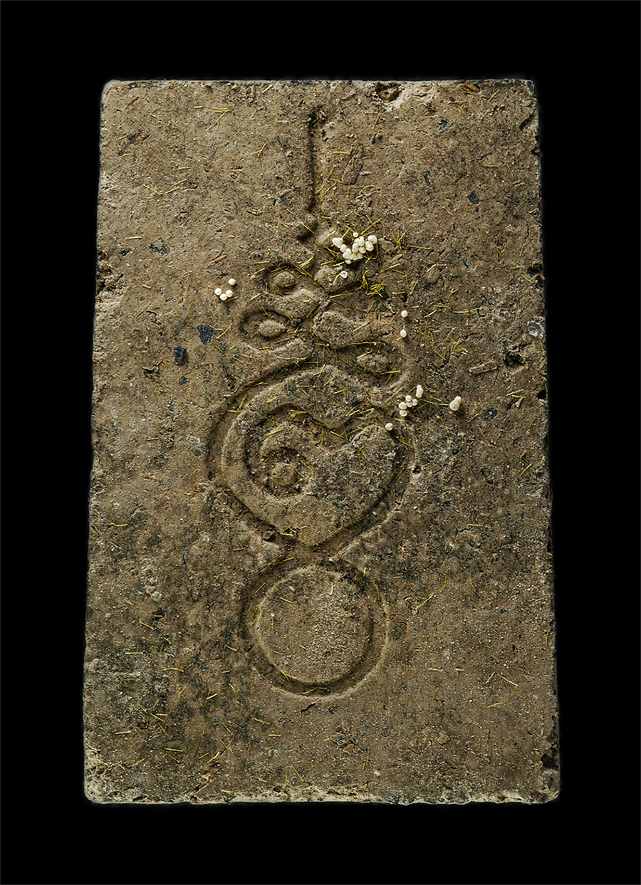 21May25 (64)bp.jpg - พระสมเด็จ 9 ชั้น ผงยากันเบื่อ ท่านพ่อนวล อินทปัญโญ วัดโพธิ์ทองพุทธาราม อ.แกลง จ.ระยอง เนื้อผงพุทธคุณ ผงว่านยากันเบื่อ พระเก่าสวย มวลสรดี สร้างน้อยหายา [..] | https://kamulet.in.th